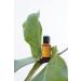 doTERRA Petitgrain Essential Oil 15 mL Pure Aromatic Home Fragrance | Best Quality Essential Oils for Relaxation & Stress Relief | International Shipping Available - Buy Online on GoSupps.com