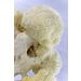 Hericium Powder | 500mg Superfood Mushroom Capsules | 100% Organic Vegan | 93 Capsules for Enhanced Health - Buy Online on GoSupps.com