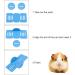 Smilcloud 5 Pcs Lovely Hamster Play Toys Rainbow Bridge & Seesaw & Swing Climb and Play Toy Hamster Chew Toys DIY Hamster Cage Accessories for Small Pets(Blue) - Buy Online on GoSupps.com