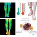 Neocare Anti Ankle Edema Socks - XL 6pcs Green - Buy Online on GoSupps.com