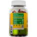 ALFA VITAMINS Immune Support Gummies with Vitamin C Plus Zinc & Echinacea - Daily Immune Support Booster for Adults - Orange Flavor - 60 Gummies - Buy Online on GoSupps.com