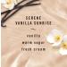 Febreze Odor-Fighting Fade Defy Plug Air Freshener Refill - Serene Vanilla Sunrise (0.87 Fl Oz) + Starter Kit | International Shipping Available - Buy Online on GoSupps.com