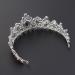 Frcolor Red Crystal Crown Wedding Bridal Tiara Queen Princess Headpieces Rhinestone Headbands for Birthday Party - Buy Online on GoSupps.com