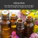 Attraction Oil by Art of the Root | Handmade Herbal & Essential Oil Blend for Money Love & Prosperity | Wiccan Pagan & Conjure Rituals - Buy Online on GoSupps.com