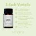 Sovita Lady's Mantle Capsules for Menstruation & Menopause Support | Chasteberry & Myo-Inositol | International Shipping - Buy Online on GoSupps.com