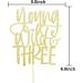 Young Wild & Three Cake Topper Happy 3rd Birthday Cake Decor Boys or Girls Third Birthday Party Decorations Gold Glitter - Buy Online on GoSupps.com