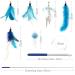 Shop Songway Interactive Cat Toy Pen - Retractable Feather Rod with Bells & 6 Replacement Springs | Ideal for Engaging & Entertaining Cats - Blue - Buy Online on GoSupps.com