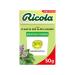 Ricola - Sweets with Swiss Plants - Apple Mint - Refreshing - Sugar Free - Box of 50g