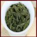 250g (0.55LB) Tieguanyin Tea High Oolong Tea rentable New Tea frais Anxi Oolong chinois Tea Green Tea Green Food - Buy Online on GoSupps.com