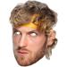 SM424 Logan Paul Cardboard Flat Face Mask - Buy Online on GoSupps.com