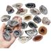 Natural Magic Gemstone Ore Drusy Quartz Slice Natural Agate Cluster Stones ZJGIDTEM (Color : 2.5-5cm) - Buy Online on GoSupps.com