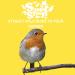 Suet Shop Supreme Suet Fat Balls 80g x 30 - High Energy & Protein for Wild Birds - Buy Online on GoSupps.com