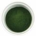 Wilderness Poets Organic Wheatgrass Juice Powder - 3.5 oz Nutrient-Rich Superfood - Buy Online on GoSupps.com
