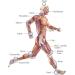 HSRG ED Shock Wave Therapy Device - Pain Relief & Skin Elasticity Improvement - Buy Online on GoSupps.com