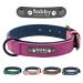 Didog dog collar soft padded leather with personalizable engraved name tag D-ring.Suitable for small and medium -sized dogs.L: 33-40 cm purple (custom)