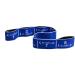 Elastiband 20kg Blue