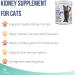 PET CARE Sciences Approx 90 Servings Cat Kidney Support Chews Feline Kidney Restore Renal Cat Treats Cats Kidney Support Supplement Urinary Tract Irritations Control for Cat - 3 Oz - Buy Online on GoSupps.com