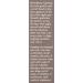 EXUVIANCE Lip Filler with Neoglucosamine, CitraFill, Peptides - 10g | Fragrance-Free - Buy Online on GoSupps.com