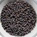 MagJo Naturals Cambodian Memot Black Pepper - 16 oz Whole Peppercorn Bag - Buy Online on GoSupps.com