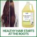 Buy MODA Moisturizing Conditioner 128 Oz | Professional Hair Care for All Types | Strengthens Moisturizes & Adds Shine | Color Protection & Volume - Buy Online on GoSupps.com
