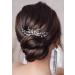 Catery Crystal Bride Hair Comb Rhinestones Bridal Hair Piece Headpiece Wedding Hair Accessories for Women and Girls (A-Sliver)