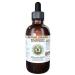 Bilberry Alcohol-Free Liquid Extract Bilberry (Vaccinium Myrtillus) Dried Berry Glycerite Hawaii Pharm Natural Herbal Supplement 4 oz 4 Fl Oz (Pack of 1)