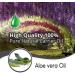 100% Natural Aloe Vera Oil - Pure & Uncut Carrier Oil (100ml) - Buy Online on GoSupps.com