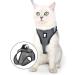 Lianzimau Cat Dishes & Ultra Light Adjustable Running Vest for Kittens & Puppies - Soft Padded Escape Protection Jacket (1 Pack) - New Gray - Buy Online on GoSupps.com