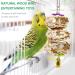 Bird Parrot Swing Toys - Chewing, Climbing, Hanging Perch & More for Small to Medium Birds - Buy Online on GoSupps.com