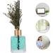 Alipis Dried Flowers for Aromatherapy | Essential Oil Air Freshener & Home Decor | Eco-Friendly Rattan Diffuser - Green 8x5.5cm - Buy Online on GoSupps.com