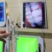 Bibee Dental Endoscopy: Personal Oral Examinations for Pets & Home Use - High-Quality Dental Exams with Large Screen Viewing - Buy Online on GoSupps.com