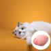 Buy Housoutil Reusable Lint Roller - Portable Washable Pet Hair Remover for Clothes & Travel | International Shipping Available - Buy Online on GoSupps.com
