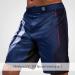 Hayabusa Marvel Hero Elite BJJ Fight Shorts - Large Blue - Buy Online on GoSupps.com