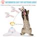 Speedy Panther Interactive Cat Toys for Indoor Cats Adult Kitten Toy Interactive Cat Toys with 360 Electric Cat Butterfly Toys Rotating - Buy Online on GoSupps.com