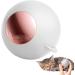 Multifunctional Foot Roller & Lint Remover - Portable Reusable & Washable - Perfect for Clothing & Pet Hair | International Shipping Available - Buy Online on GoSupps.com