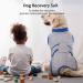 Kuoser Dog Recovery Suit - Post-Op Body for Male & Female Dogs | Breathable Leakage Protection & Anti-Licking | Gray L (1 Pack) - Buy Online on GoSupps.com
