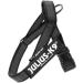 Julius-K9 Belt Harness XS/Mini-Mini in Black-Gray - Perfect for Small Dogs | International Shipping Available - Buy Online on GoSupps.com