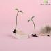 NaienCraft Pack of 20 Green Plant Hair Clips - Bean Sprout & Pea Hairpin Barrettes for Women and Girls - Buy Online on GoSupps.com