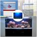 EVAYangSG Underwater World Aquarium Background Decoration Poster Aquarium Background Sticker Aquarium Aquarium Aquarium Poster Decoration Picture Supplies 61 * 30cm (blue) - Buy Online on GoSupps.com