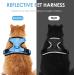 Breakproof Cat Leash Set & Adjustable Soft Kitten Vest - Reflective Stripes - Light Blue - Perfect for Small Kittens - Buy Online on GoSupps.com