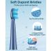 Sonic Electric Toothbrush for Adults and Kids - Rechargeable with 8 Brush Heads, 5 Modes - Mineral Blue - Buy Online on GoSupps.com
