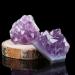 Home 10-20g Natural Purple Brazilian Amethyst Quartz Crystal Cluster Stones Specimen Home Decor Crafts Ornament Crystal Cluster (Color : 5pcs) - Buy Online on GoSupps.com