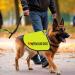 Nervous Dog Jacket Vest Rescue Dogs Anxious Dogs Scared Dogs Slogan Warning Vest (Nervous Dog Large) Nervous Dog L EU - Buy Online on GoSupps.com