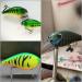 wLure Hard Plastic 3D Stencil for Fishing Lure - Crankbait, Jerkbait, Lipless, Topwater - Suphc25 - Buy Online on GoSupps.com