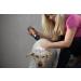 Petology Oatmeal Honey Soothing Finishing Spray 1 Gallon - Natural Leave-in Conditioner for Pets - Colloidal Oatmeal & Honey Extract - Buy Online on GoSupps.com