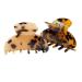 JIRIS 2PCS 2.75 Leopard Hair Claw Clips - Small French Design Barrettes for Women and Girls - Buy Online on GoSupps.com