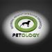 Petology Oatmeal Honey Soothing Finishing Spray 1 Gallon - Natural Leave-in Conditioner for Pets - Colloidal Oatmeal & Honey Extract - Buy Online on GoSupps.com