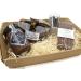 Smartbox - Gift Box - Gourmet Basket from Maison Maxime delivered to your home - Original Gift Idea - Buy Online on GoSupps.com