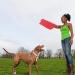 UNWSTYU Thicken Professional Puppy Bit Training Arm Sleeve for Arm Protection Biting Pet Interactive for Dog Biting Playing Home - Buy Online on GoSupps.com