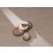 TONEfitSUN Cushion 12g - Vegan Tone-up Sun Cushion SPF 50+/ PA++++ - Korean Beauty - Buy Online on GoSupps.com